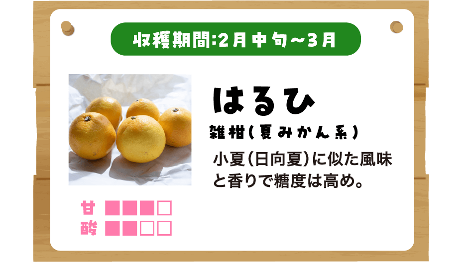はるひの説明