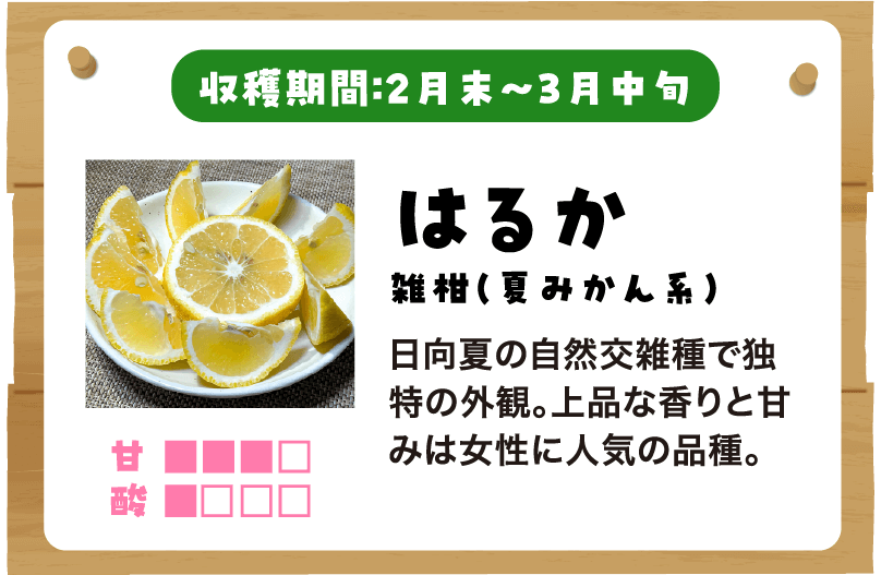 はるかの説明