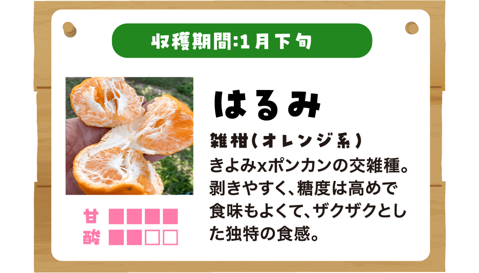 はるみの説明