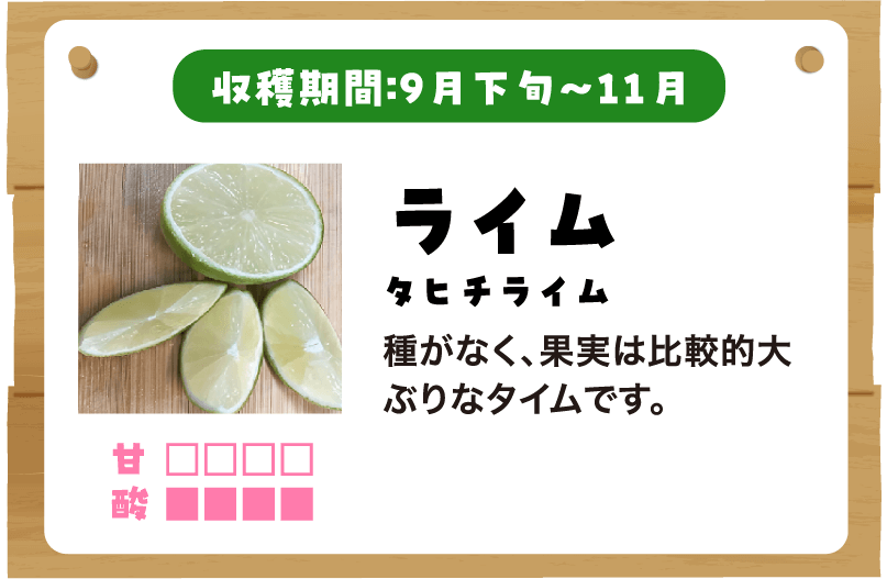 ライムの説明
