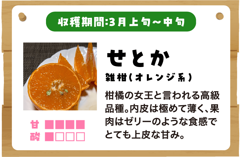 せとかの説明
