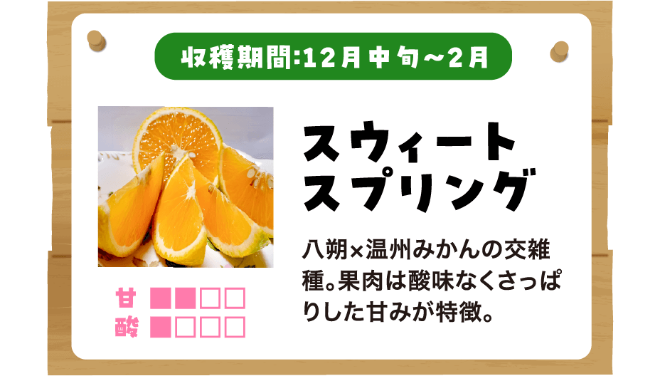 スウィートスプリングの説明