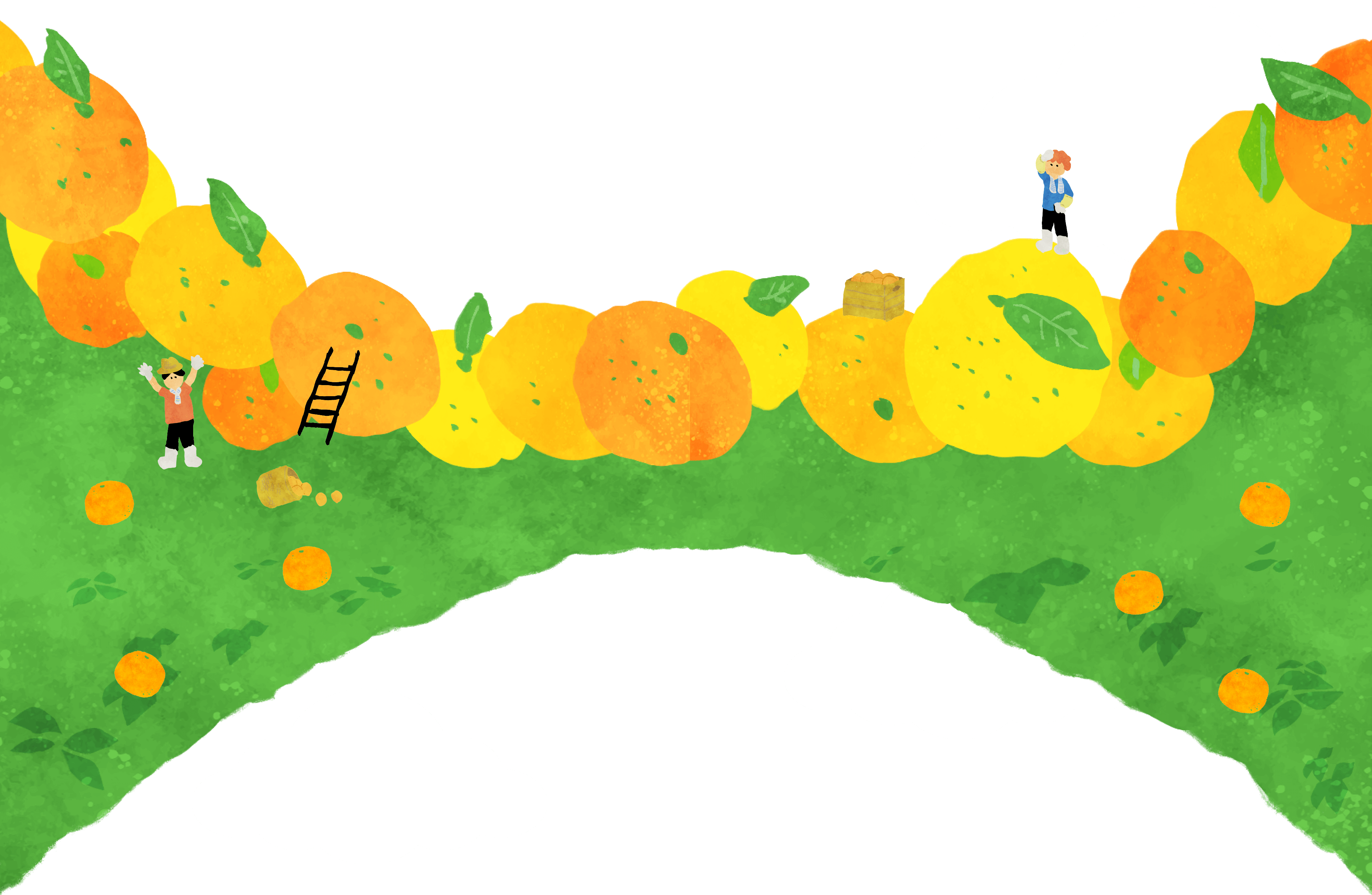 イラスト